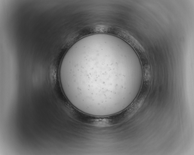 X0000101420363200807211134
