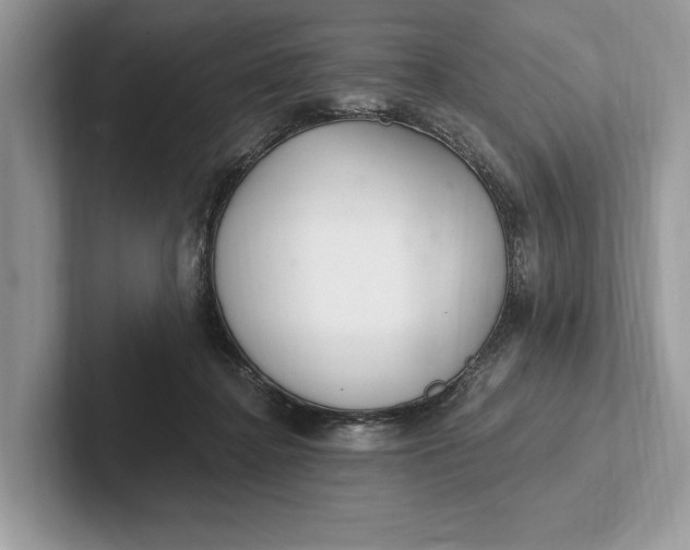X0000101420364200807211134