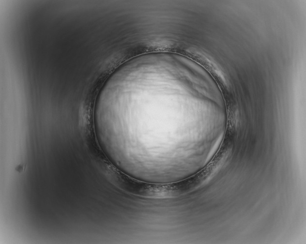 X0000101420365200807211134