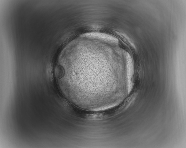 X0000101420366200807211134