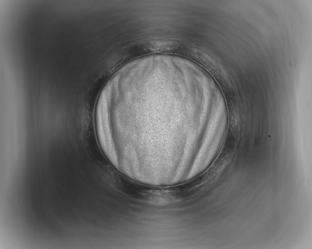 X0000101420367200807211134