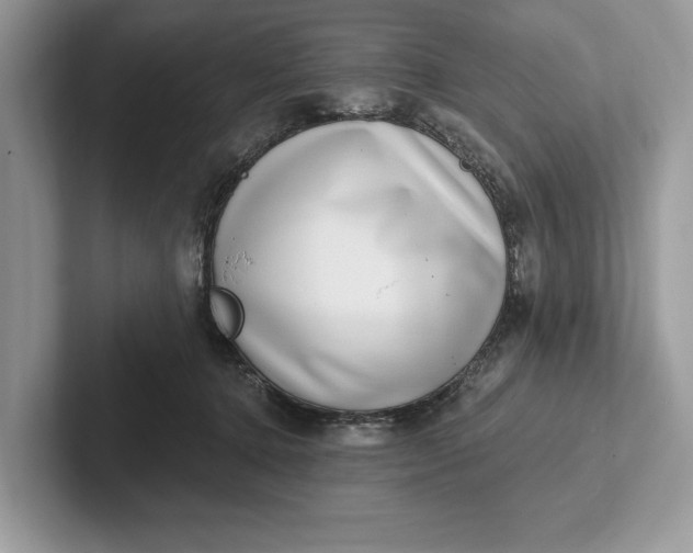 X0000101420368200807211134