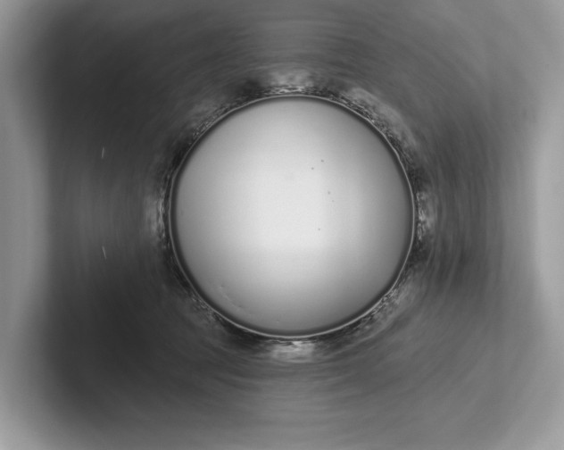X0000101420369200807211134