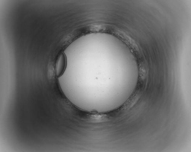X0000101420375200807211134