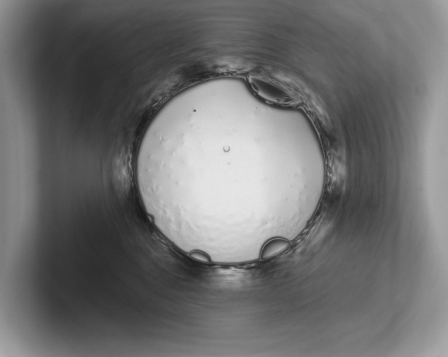 X0000101420376200807211134