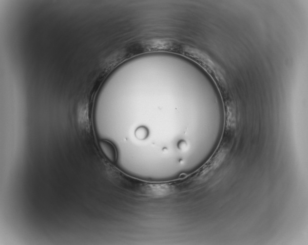 X0000101420377200807211134