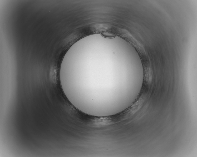 X0000101420378200807211134
