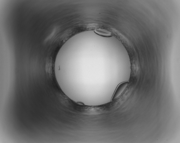 X0000101420379200807211134