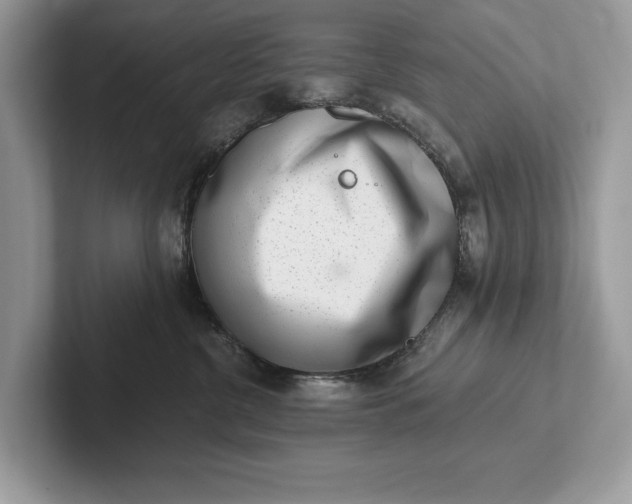 X0000101420380200807211134