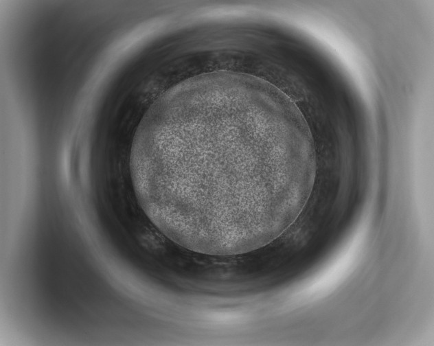 X0000101420382200807211134