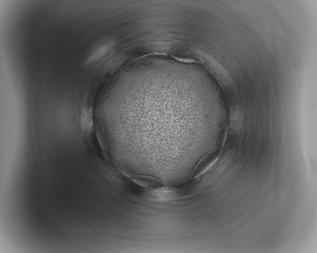 X0000101420383200807211134