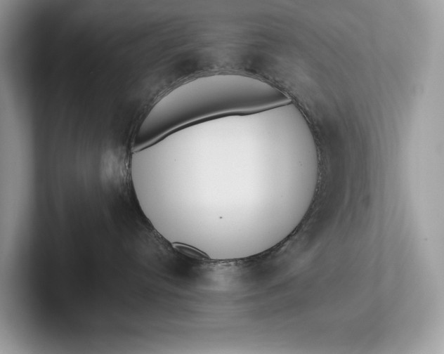 X0000101420384200807211134
