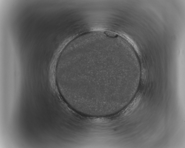 X0000101420385200807211133