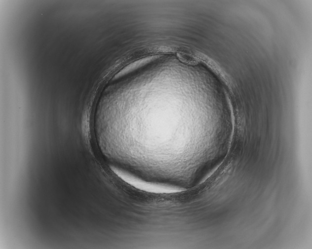 X0000101420386200807211133