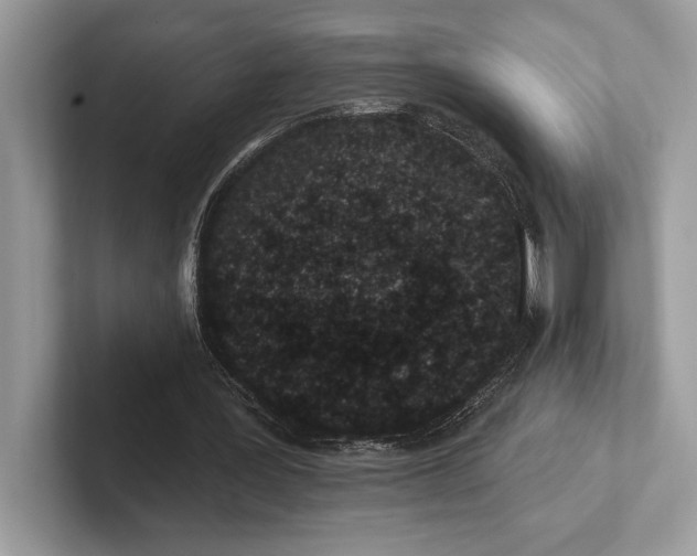 X0000101420387200807211133