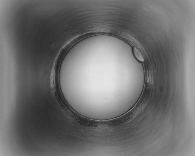 X0000101420388200807211133