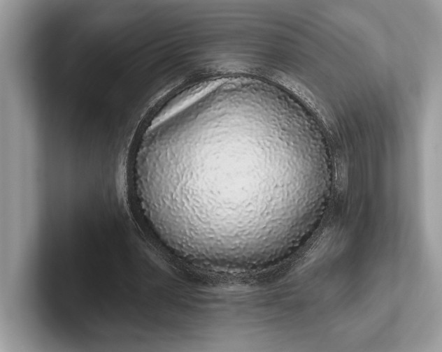 X0000101420390200807211133