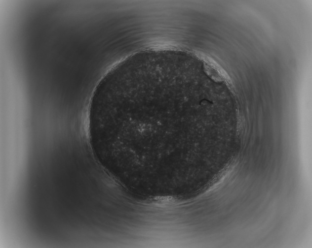X0000101420391200807211133