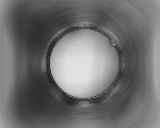 X0000101420392200807211133