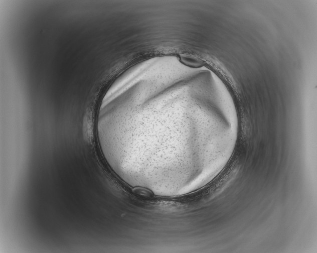 X0000101420393200807211133