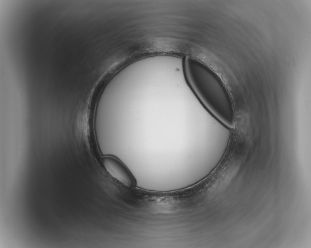 X0000101420395200807211133