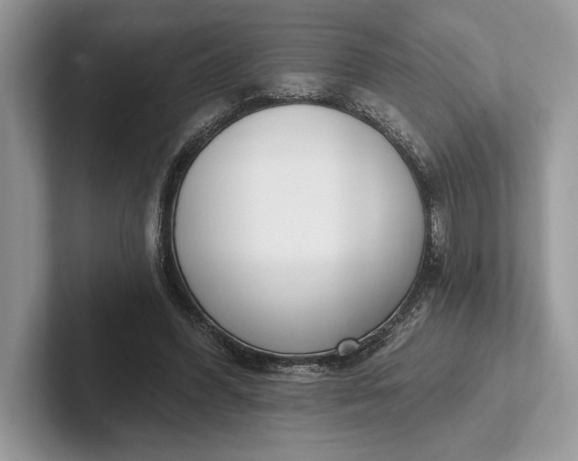 X0000101420396200807211133
