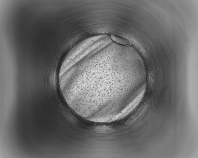 X0000101420397200807211133