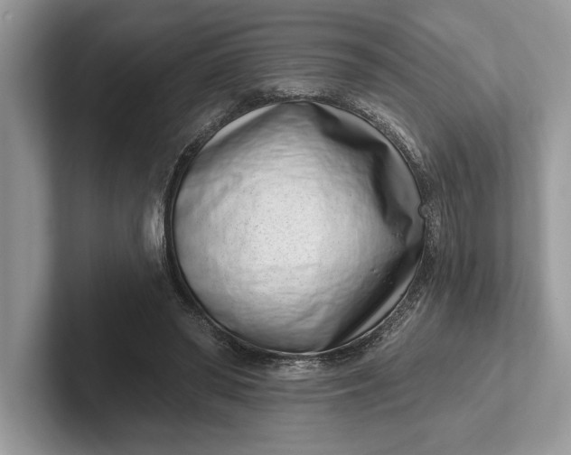 X0000101420398200807211133