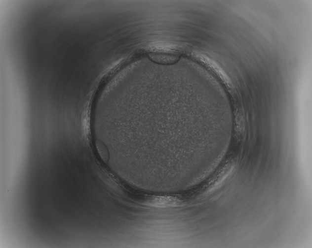 X0000101420399200807211133