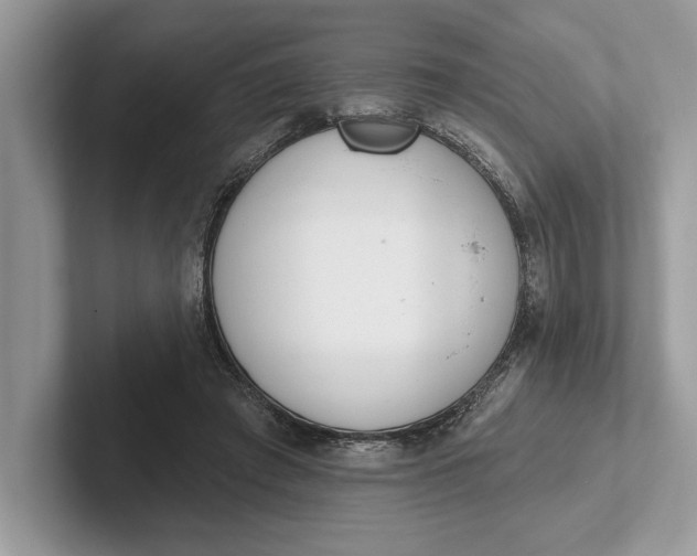 X0000101420401200807211133