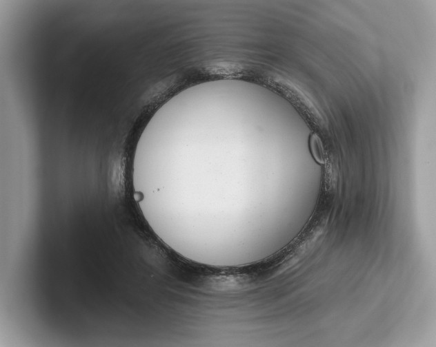 X0000101420404200807211133