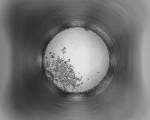 X0000101420405200807211133