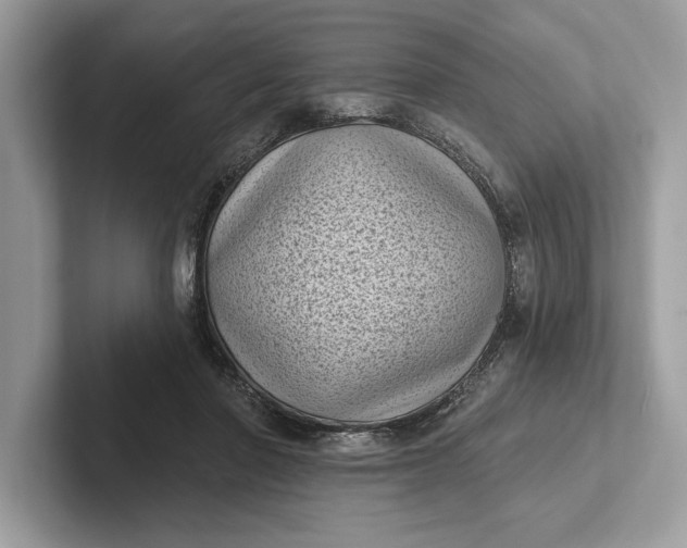 X0000101420406200807211133