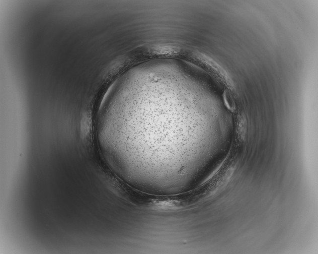 X0000101420407200807211133
