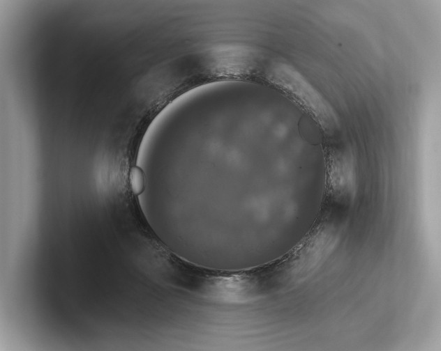 X0000101420411200807211133