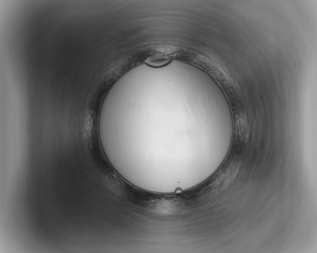 X0000101420412200807211133