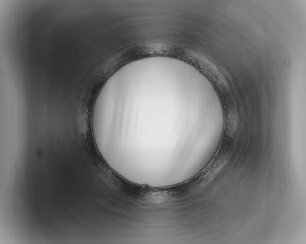 X0000101420413200807211133