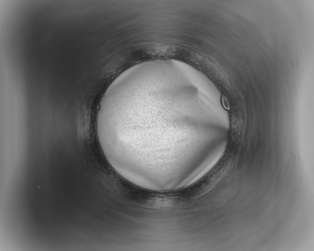 X0000101420416200807211133