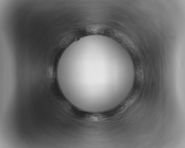 X0000101420420200807211133