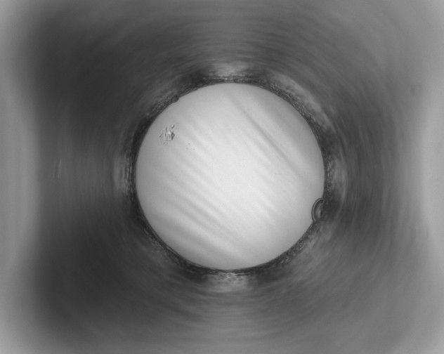 X0000101420421200807211133