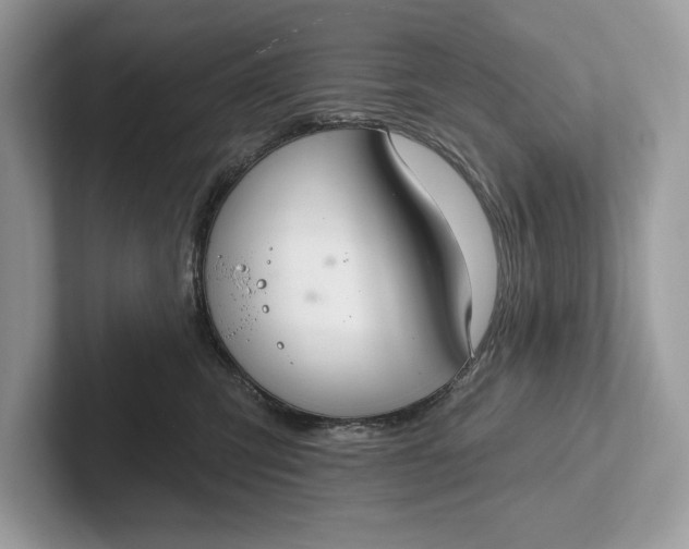 X0000101420423200807211133