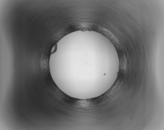 X0000101420425200807211133
