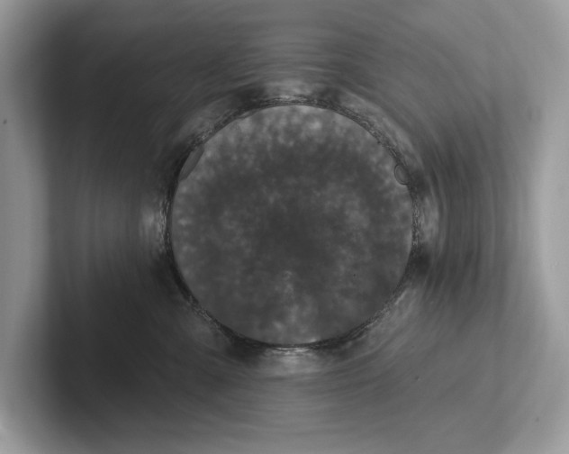 X0000101420427200807211133