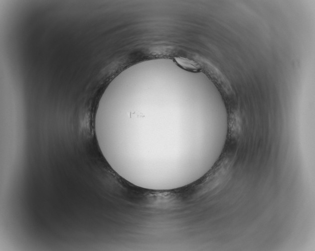 X0000101420428200807211133