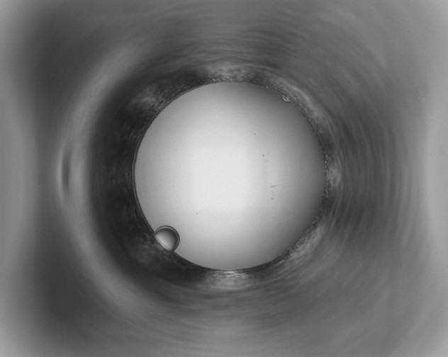 X0000101420429200807211133