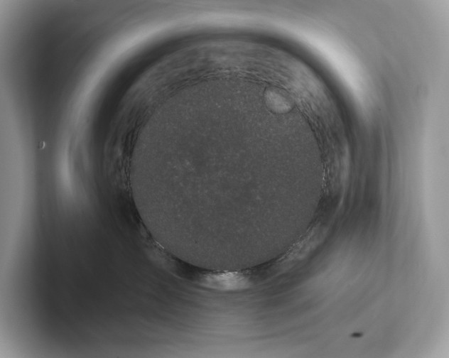X0000101420431200807211133