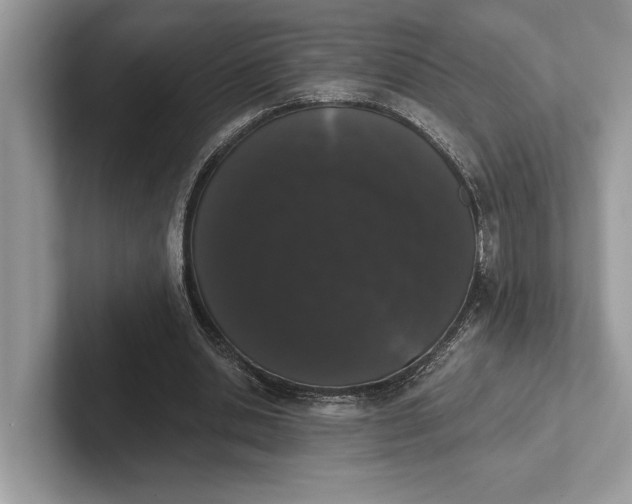 X0000101420438200807211132