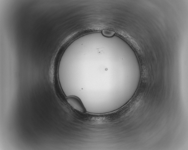 X0000101420440200807211132