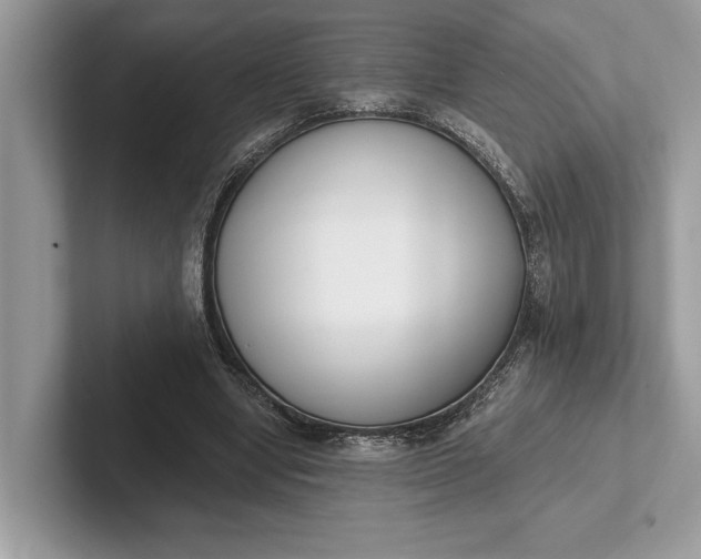 X0000101420442200807211132