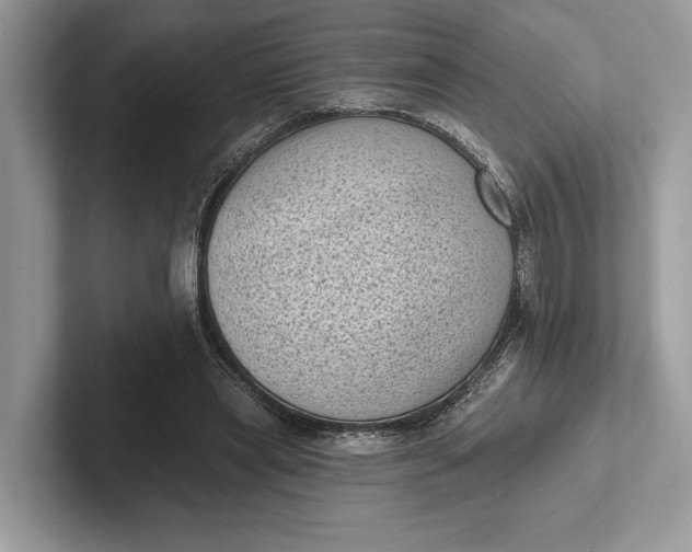 X0000101420445200807211132